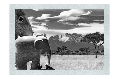 Surreal Elephant Landscape - Monochrome Fine Art Print - Rare Edition Category