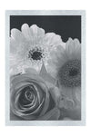 Floral Harmony - Monochrome Fine Art Print - Flowers & Plants Category