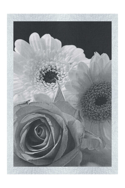 Floral Harmony - Monochrome Fine Art Print - Flowers & Plants Category