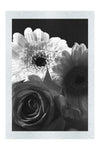 Floral Harmony - Monochrome Fine Art Print - Flowers & Plants Category