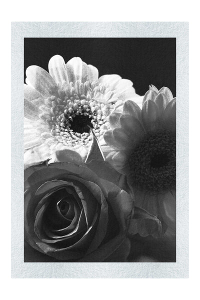 Floral Harmony - Monochrome Fine Art Print - Flowers & Plants Category