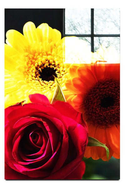 Floral Harmony - Acrylic Print - Flowers & Plants Category
