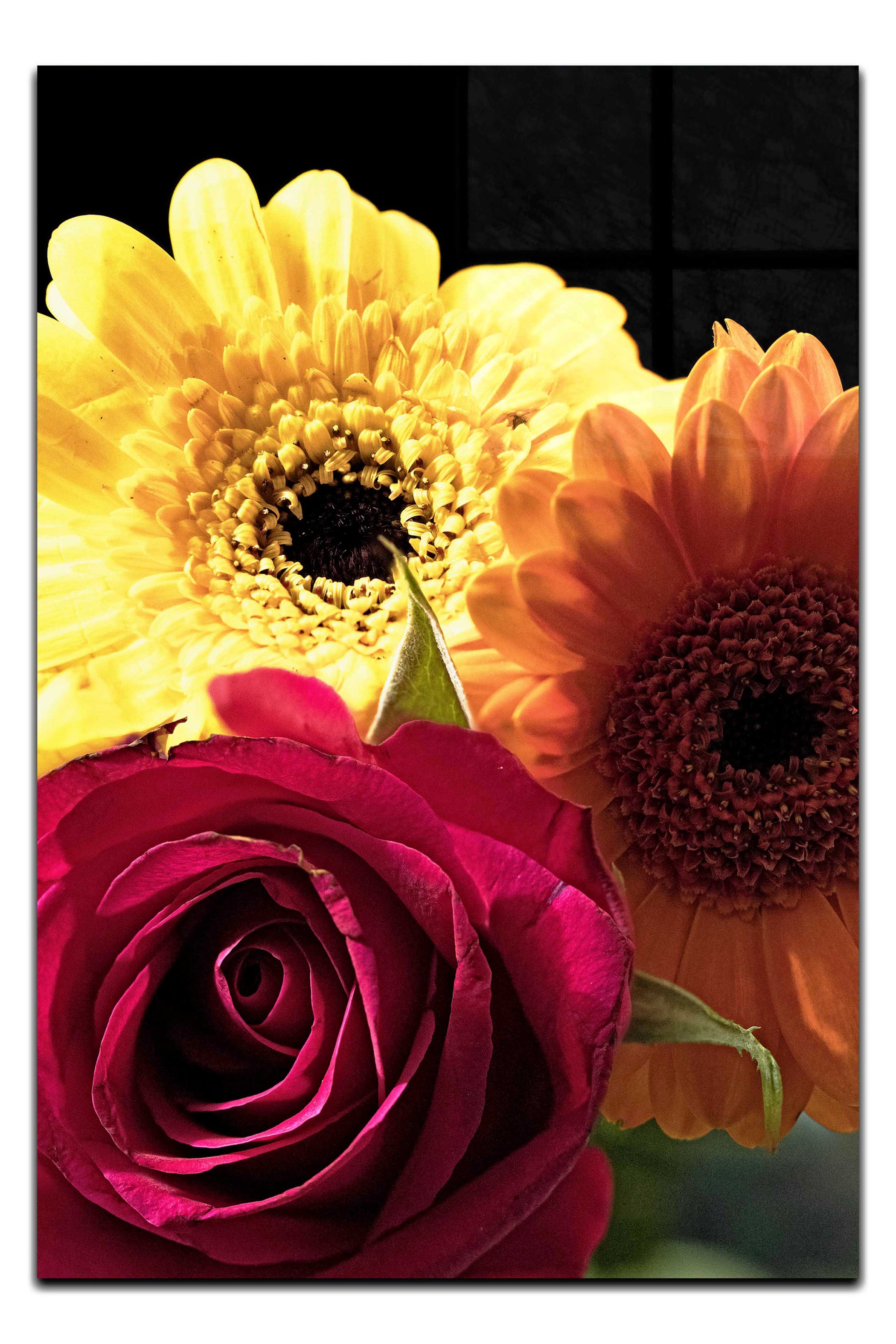 Floral Harmony - Acrylic Print - Flowers & Plants Category