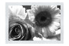 Radiant Blooms: Rose and Gerbera Harmony - Monochrome Fine Art Print - Flowers & Plants Category