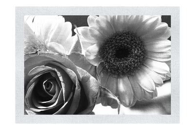 Radiant Blooms: Rose and Gerbera Harmony - Monochrome Fine Art Print - Flowers & Plants Category