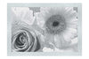 Radiant Blooms: Rose and Gerbera Harmony - Monochrome Fine Art Print - Flowers & Plants Category