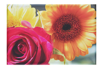 Radiant Blooms: Rose and Gerbera Harmony - Canvas Print - Flowers & Plants Category