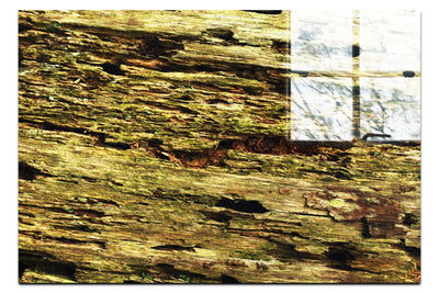 Wooden Tapestry: Nature's Chronicle - Acrylic Print - Abstract Category