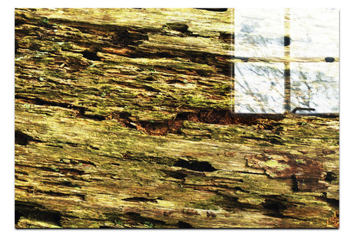 Wooden Tapestry: Nature's Chronicle - Acrylic Print - Abstract Category