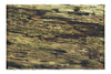 Wooden Tapestry: Nature's Chronicle - Canvas Print - Abstract Category