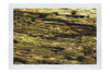 Wooden Tapestry: Nature's Chronicle - Fine Art Print - Abstract Category