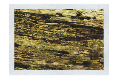 Wooden Tapestry: Nature's Chronicle - Fine Art Print - Abstract Category