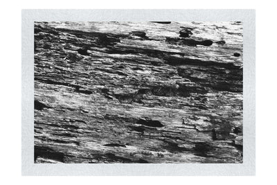 Wooden Tapestry: Nature's Chronicle - Monochrome Fine Art Print - Abstract Category