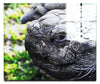 Aldabra Giant Tortoise Close Up - Acrylic Print - Wildlife Category
