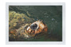 Turtle Of Zante 3 - Fine Art Print - Wildlife Category