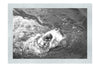 Turtle Of Zante 3 - Monochrome Fine Art Print - Wildlife Category