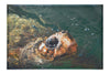 Turtle Of Zante 3 - Canvas Print - Wildlife Category