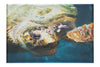 Turtle Of Zante - Canvas Print - Wildlife Category