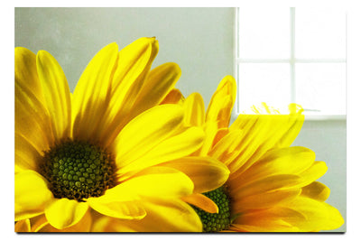 Twin Yellow Flowers - Acrylic Print - Flowers & Plants Category