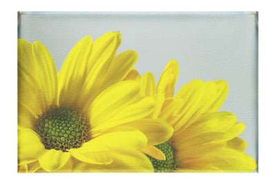Twin Yellow Flowers - Canvas Print - Flowers & Plants Category