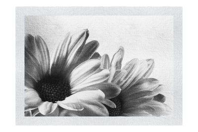 Twin Yellow Flowers - Monochrome Fine Art Print - Flowers & Plants Category