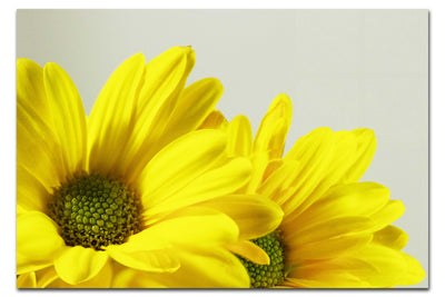 Twin Yellow Flowers - Acrylic Print - Flowers & Plants Category