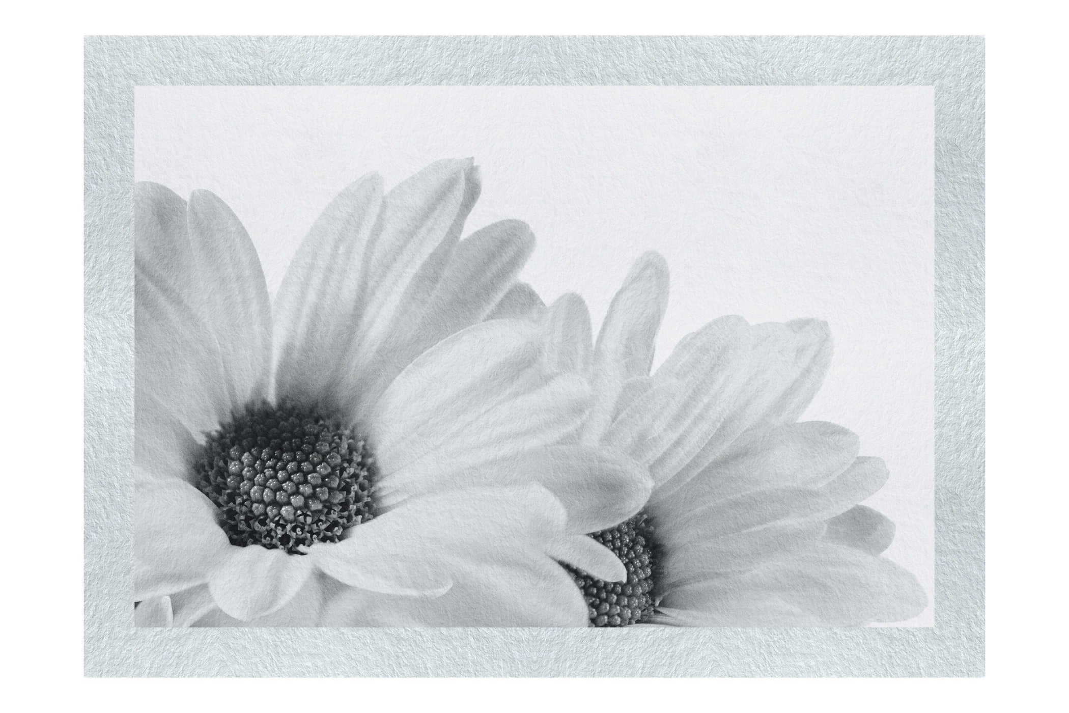 Twin Yellow Flowers - Monochrome Fine Art Print - Flowers & Plants Category