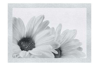 Twin Yellow Flowers - Monochrome Fine Art Print - Flowers & Plants Category