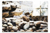 Wave On Pebbles - Acrylic Print - Rare Edition Category