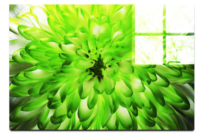 Wholesome Green Flower - Acrylic Print - Flowers & Plants Category