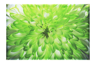 Wholesome Green Flower - Canvas Print - Flowers & Plants Category