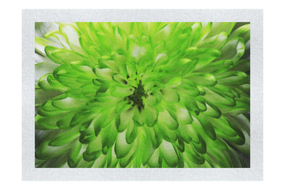 Wholesome Green Plant - Fine Art Print - Flowers & Plants Category