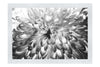 Wholesome Green Plant - Monochrome Fine Art Print - Flowers & Plants Category