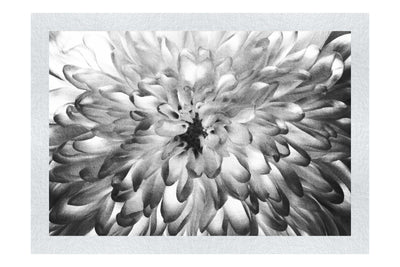 Wholesome Green Plant - Monochrome Fine Art Print - Flowers & Plants Category