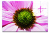 Wholesome Pink Flower - Acrylic Print - Flowers & Plants Category