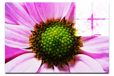 Wholesome Pink Flower - Acrylic Print - Flowers & Plants Category