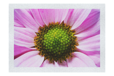 Wholesome Pink Flower - Fine Art Print - Flowers & Plants Category