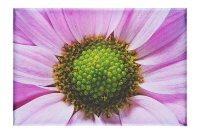 Wholesome Pink Flower - Canvas Print - Flowers & Plants Category