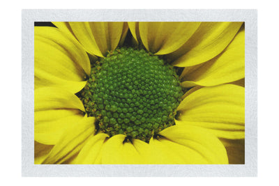 Wholesome Yellow Flower - Fine Art Print - Flowers & Plants Category