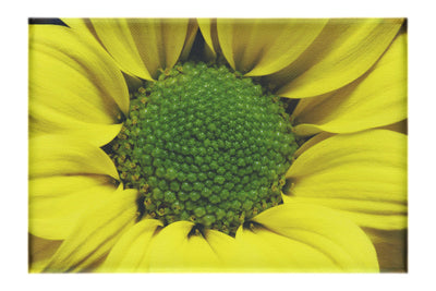 Wholesome Yellow Flower - Canvas Plant - Flowers & Plants Category