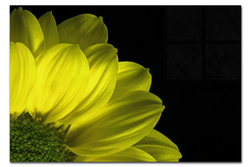Yellow Petal Flower - Acrylic Print - Flowers & Plants Category