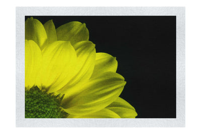 Yellow Petal Flower - Fine Art Print - Flowers & Plants Category
