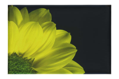 Yellow Petal Flower - Canvas Print - Flowers & Plants Category