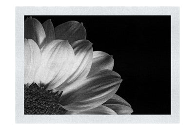 Yellow Petal Flower - Monochrome Fine Art Print - Flowers & Plants Category
