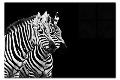 Curious Zebra - Acrylic Print - Wildlife Category