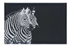 Curious Zebras - Canvas Print - Wildlife Category