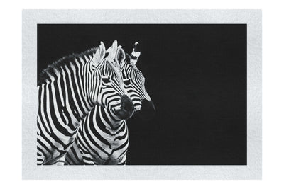 Curious Zebras - Fine Art Print - Wildlife Category