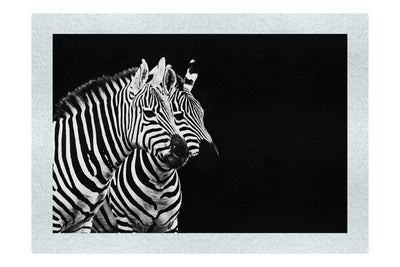 Curious Zebras - Monochrome Fine Art Print - Wildlife Category